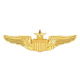AUEAR - Pin de metal para aviador, diseño de alas militares, color dorado